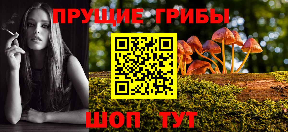 Галлюциногенные грибы Cubensis Выборг