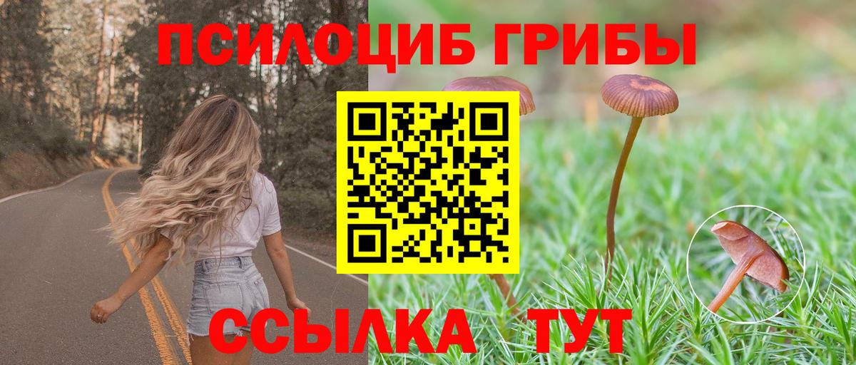 Псилоцибиновые грибы GOLDEN TEACHER  Вход с VPN  Выборг  Галлюциногенные грибы Psilocybe 